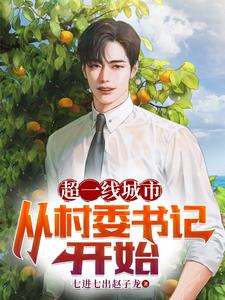 超一线城市:从村委书记开始